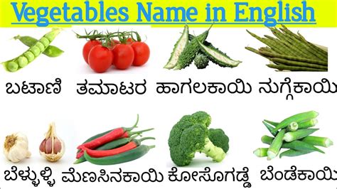 javali kai in english|Vegetable Names in English, Hindi, Tamil, Kannada, Telugu,。